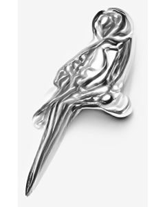 Silver 3D Parrot Charm