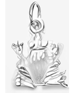 Silver Frog Charm